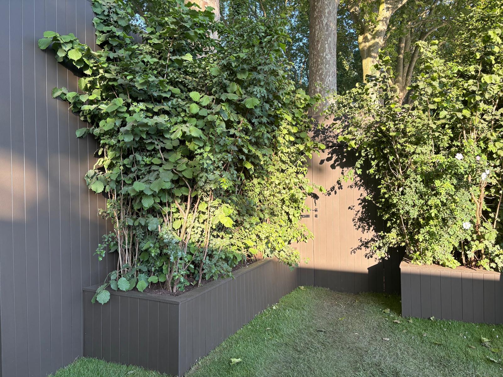 MEDITE TRIMAX in The Glasshouse Garden at RHS Chelsea Flower Show 2025